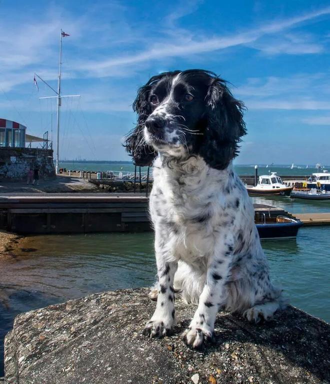Gray'S Inn Cowes  Ngoại thất bức ảnh